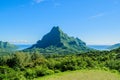 Green tropical Moorea Royalty Free Stock Photo